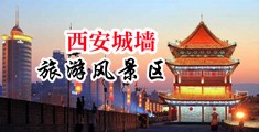 巨屌肏屄小说网中国陕西-西安城墙旅游风景区